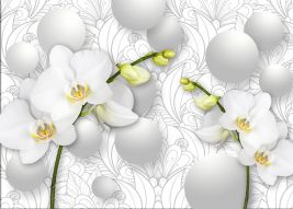 Фотообои Нежные белые орхидеи 3d