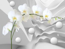 Фреска Белые 3D орхидея