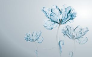 Фреска Голубые цветы