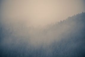 Фотообои Утро и туман