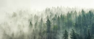 Фреска Утренний туман