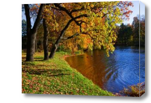 Картина Осень на берегу озера