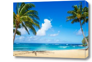 Картина пляж и пальмы