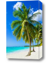 Картина Пальмы на пляже