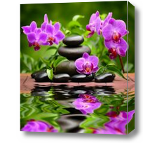 Картина Ветки орхидеи и камни на воде